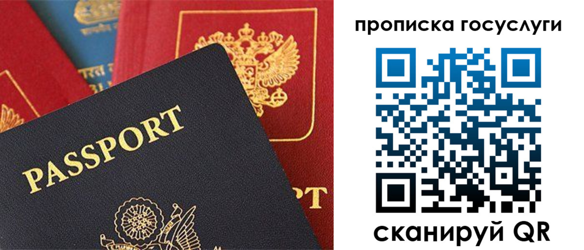 пропишу в квартире в Новом Осколе